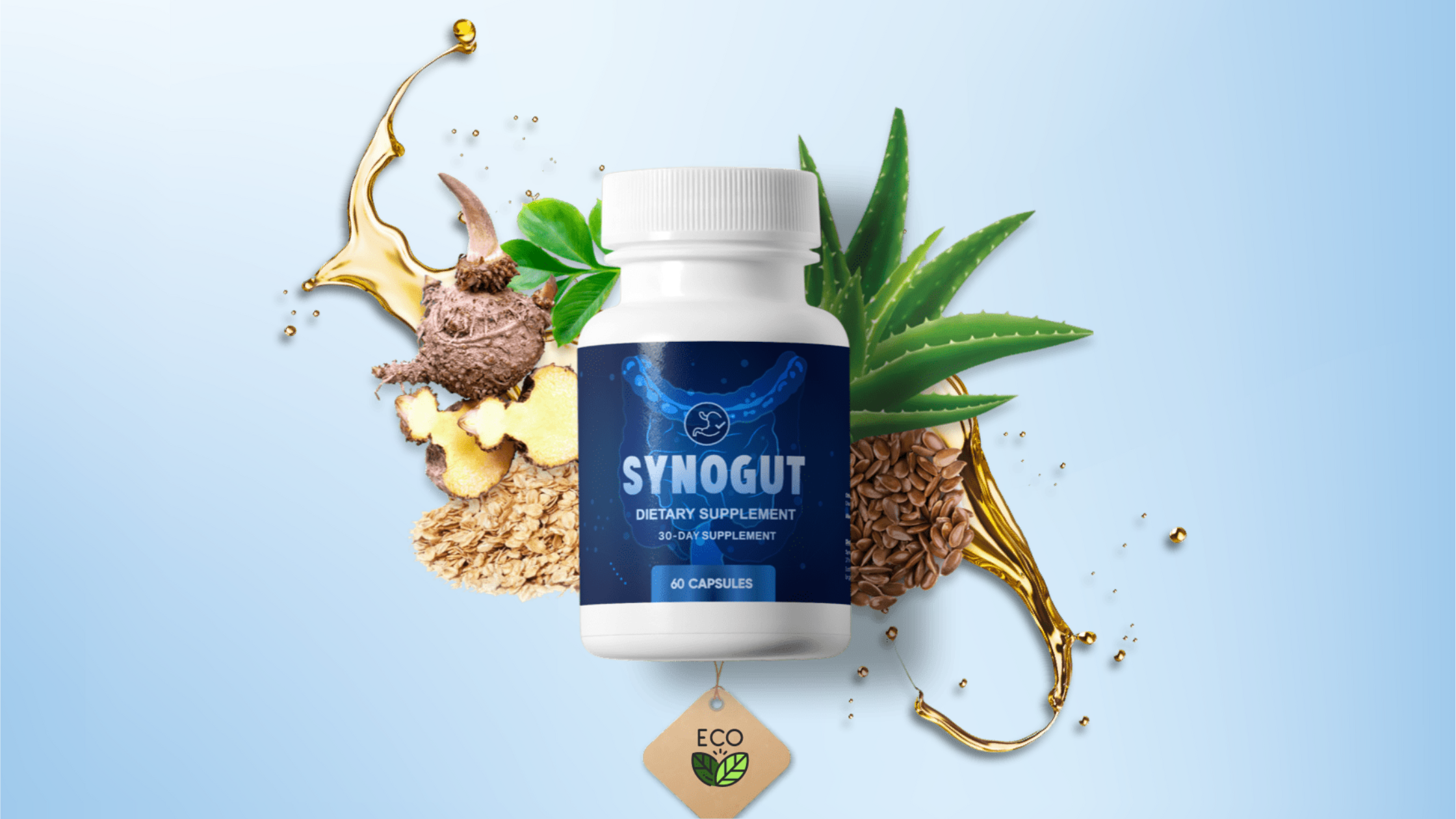 SynoGut Review 2024 – Is It Safe & Trying Worth?